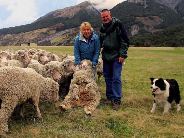 get 'hands on' on a real working sheep