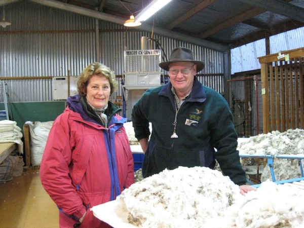 learn about merino wool from a sheep farmer guide