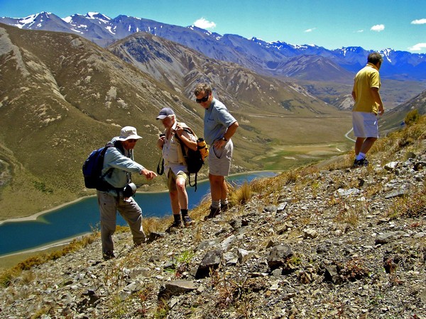discover Southern Alps plants and animals