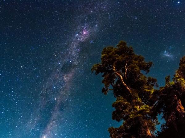 The Moeraki night sky will leave you in awe
