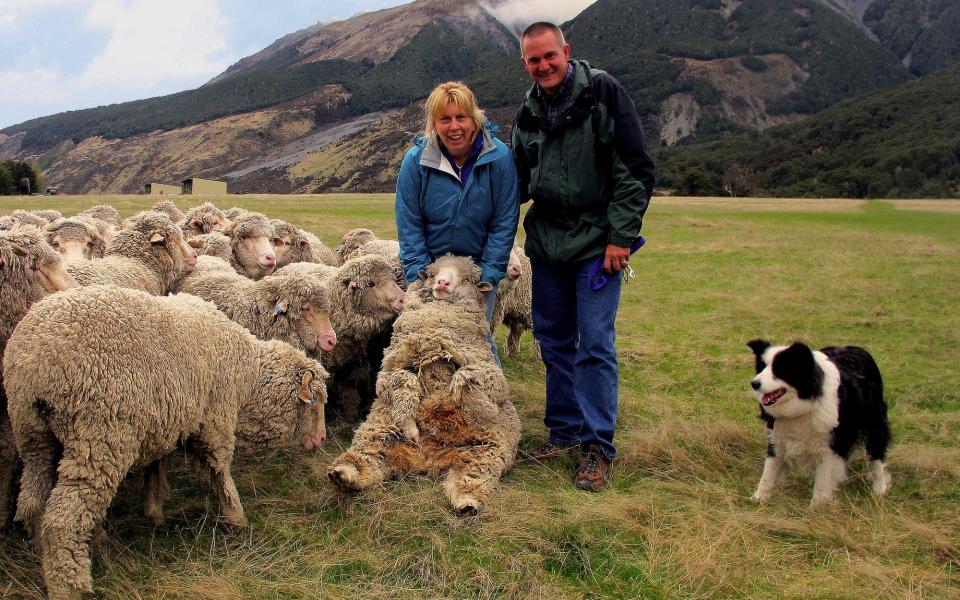 sheep farm tour