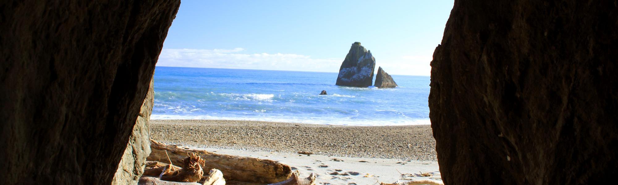 Explore the Basalt Seacaves on the Moeraki Coast, South Island, New Zealand