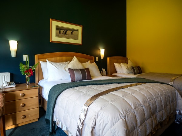 either a queen & single bed...