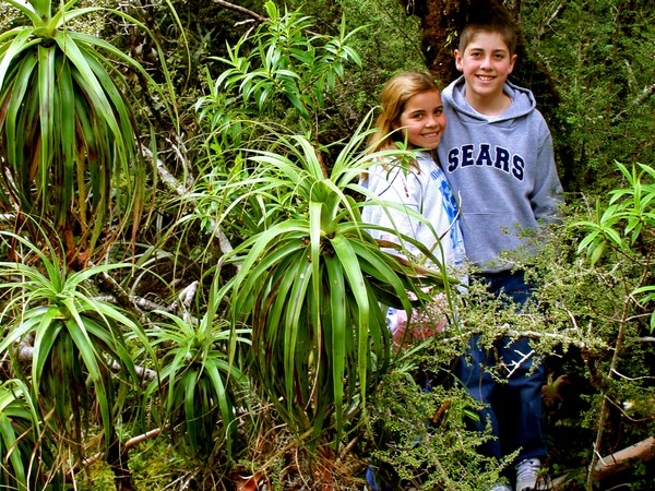 immerse yourself in the natural world